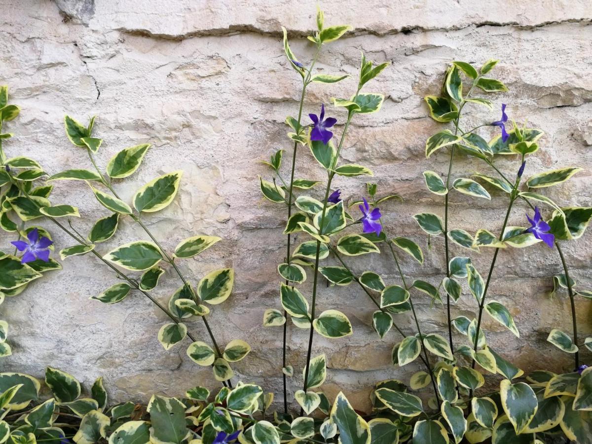 La Malinette B&B, Calme Et Authenticite Mâlain Εξωτερικό φωτογραφία